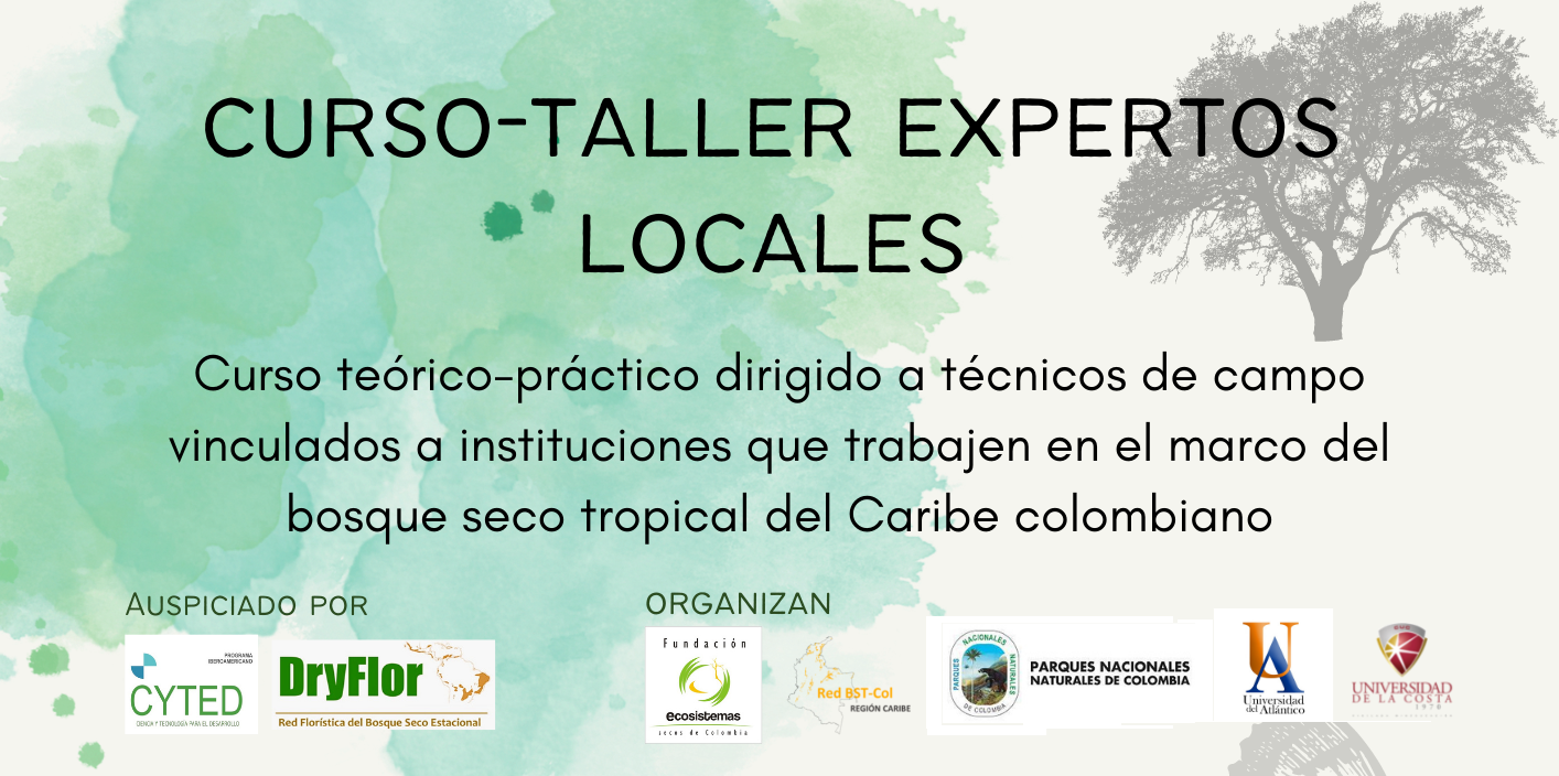 Curso taller BANNER