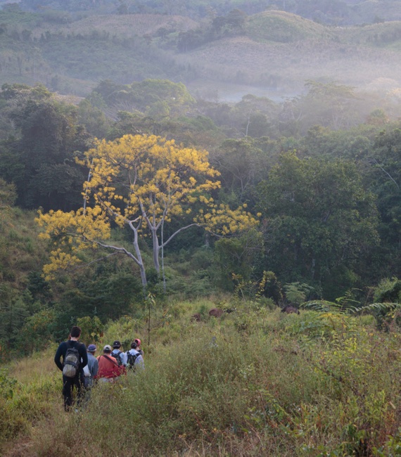 This image for Image Layouts addon