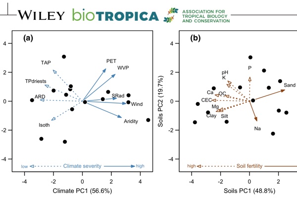 Climate severity and land‐cover transformation determine plant community attributes in Colombian dry forests