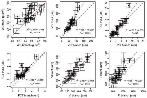 Traits and trade‐offs of wood anatomy between trunks and branches in tropical dry forest species