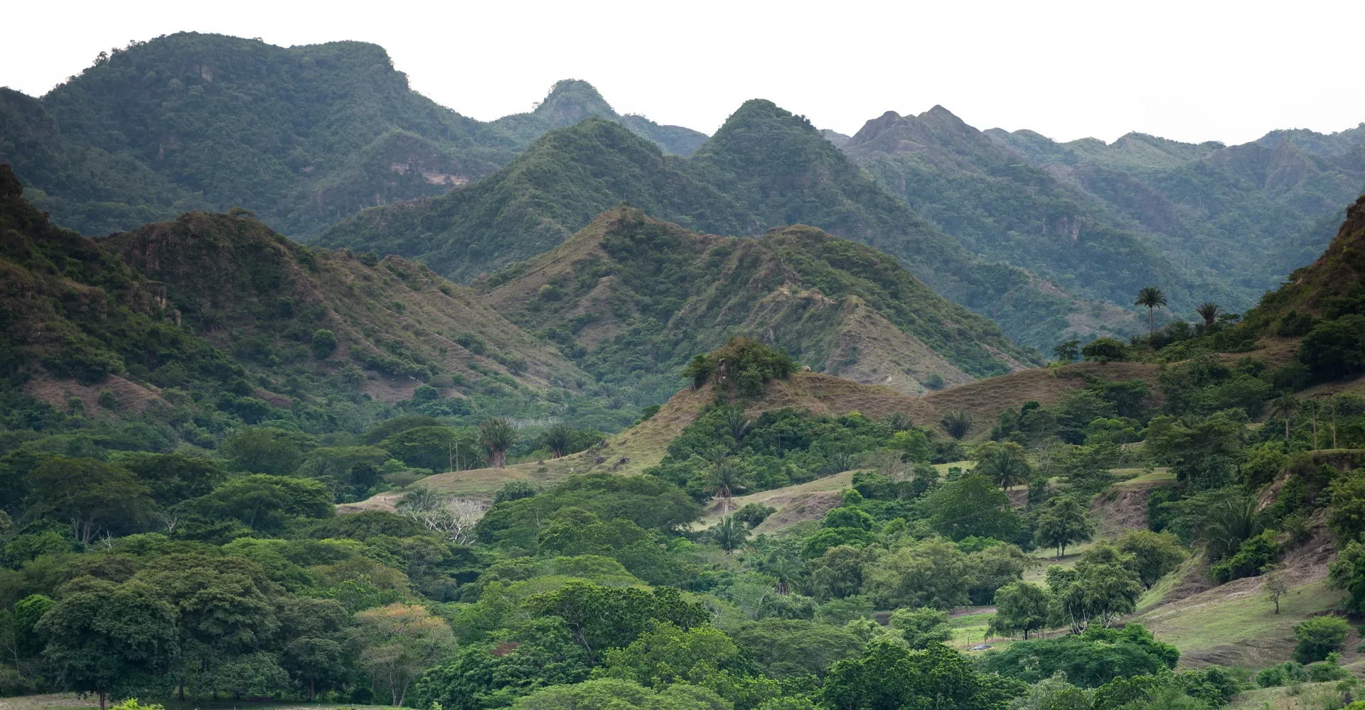 Slide #1 copy Slide background