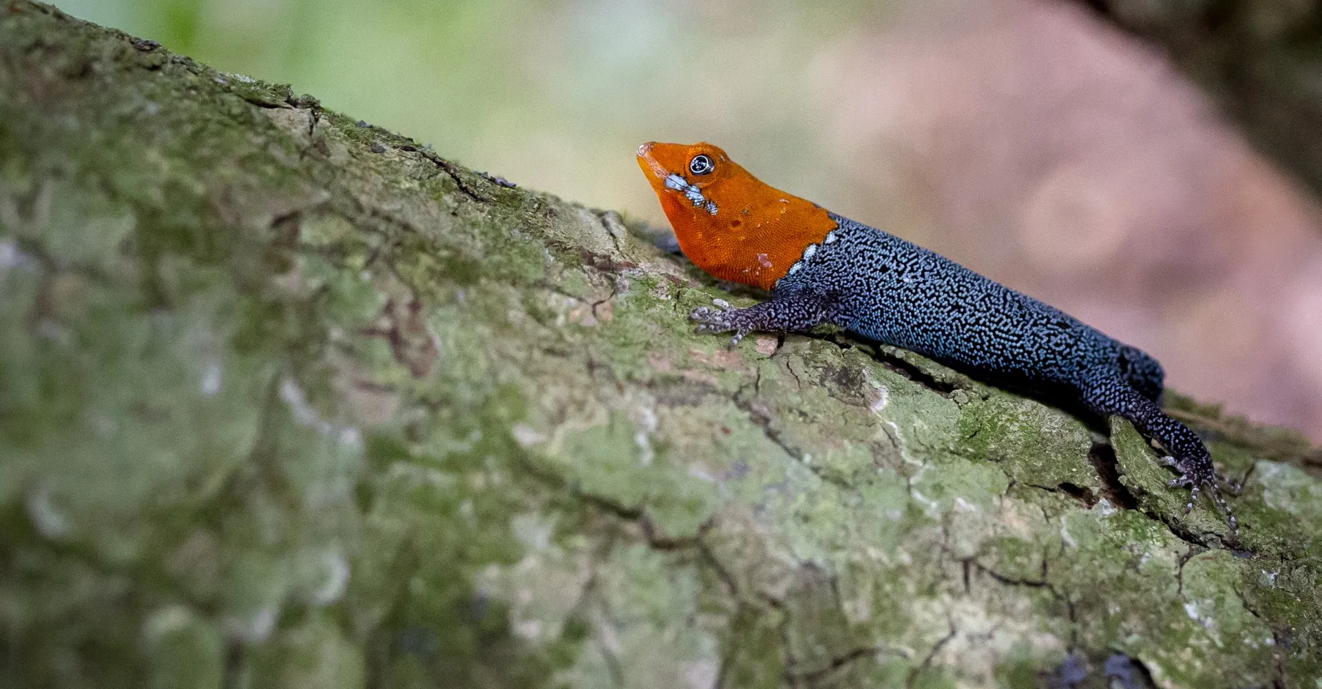 Slide #1 copy copy Slide background